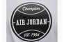 Мужская футболка NIKE M JORDAN FLT MVP 85 SS CREW FN5956-100 Фото 3