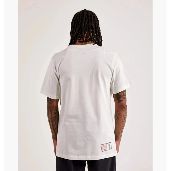 Чоловіча футболка NIKE M JORDAN FLT ESS RINGS SS CREW FN5966-133 фото 2 — інтернет-магазин Tapok