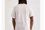 Чоловіча футболка NIKE M JORDAN FLT ESS RINGS SS CREW FN5966-133 Фото 2