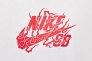 Мужская футболка NIKE U NK SB TEE M90 DRAGON FQ3719-101 Фото 4