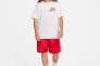 Мужская футболка NIKE U NK SB TEE M90 DRAGON FQ3719-101 Фото 5
