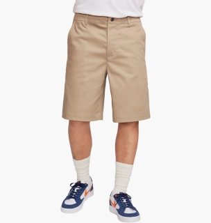 NIKE M NK SB EL CHINO SHORT FQ0500-247
