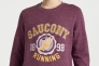 Кофта Saucony RESTED CREW 800386-SNHA2 Фото 1