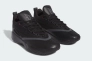 Кроссовки Adidas Dame Certified 2.0 IE9352 Фото 2