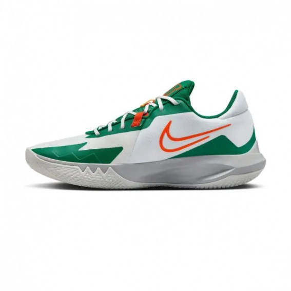 Кросівки Nike PRECISION VI DD9535-103 фото 1 — інтернет-магазин Tapok