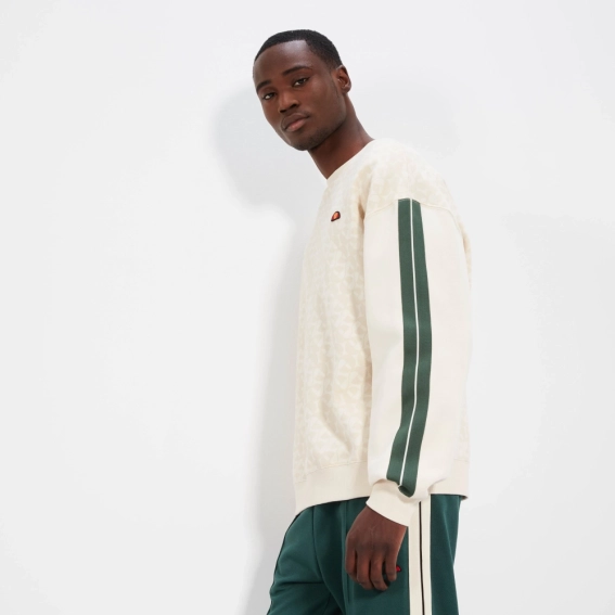 Толстовка Ellesse Italie Sweatshirt SHT19012-904 фото 3 — інтернет-магазин Tapok