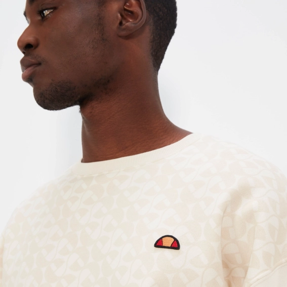 Толстовка Ellesse Italie Sweatshirt SHT19012-904 фото 4 — інтернет-магазин Tapok