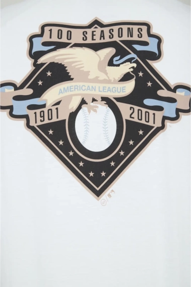 Футболка 47 Brand MLB NEW YORK YANKEES BACKER 614634WW-FS фото 4 — интернет-магазин Tapok
