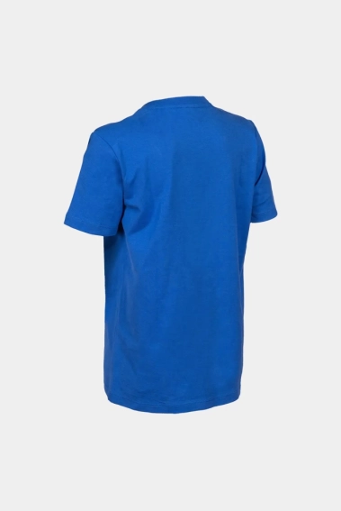 Футболка Arena TEAM T-SHIRT PANEL 004918-800 фото 3 — інтернет-магазин Tapok