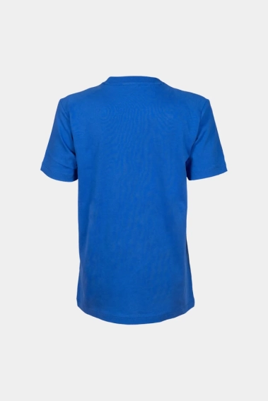 Футболка Arena TEAM T-SHIRT PANEL 004918-800 фото 4 — інтернет-магазин Tapok