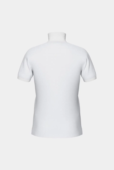 Футболка поло Arena POLOSHIRT SOLID COTTON PIQUET 006389-115 фото 4 — интернет-магазин Tapok