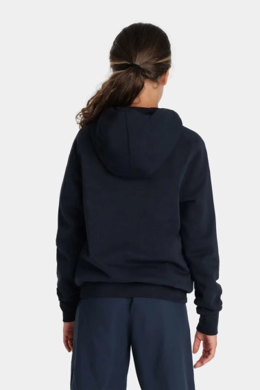 Худі Arena TEAM HOODED SWEAT PANEL 004919-700 фото 12 — інтернет-магазин Tapok