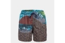 Шорты Arena BEACH BOXER PLACED 006392-620 Фото 3