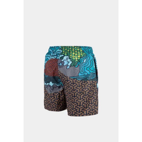 Шорты Arena BEACH BOXER PLACED 006392-620 фото 5 — интернет-магазин Tapok