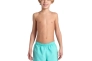 Шорти Arena BEACH BOXER SOLID R 006447-870 Фото 1