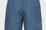 Шорты Arena BEACH SHORT ALLOVER 005980-740 Фото 2
