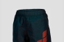 Шорты Arena BEACH SHORT LOGO R 006446-590 Фото 2