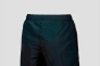 Шорты Arena BEACH SHORT LOGO R 006446-590 Фото 3