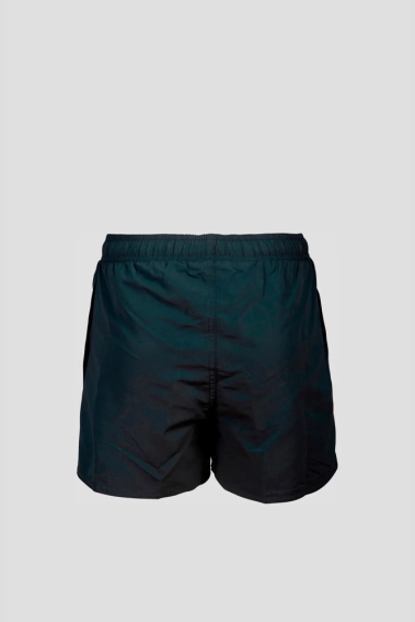 Шорты Arena BEACH SHORT LOGO R 006446-590 фото 4 — интернет-магазин Tapok