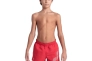 Шорты Arena BEACH SHORT LOGO R 006446-410 Фото 1