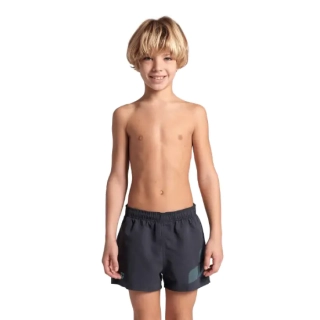 Шорти Arena BEACH SHORT LOGO R 006446-580