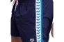 Шорты Arena TEAM STRIPE SHORT 007133-781 Фото 3