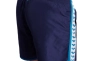 Шорты Arena TEAM STRIPE SHORT 007133-781 Фото 4