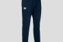 Брюки Arena TEAM PANT SOLID 004908-700 Фото 2