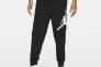 Брюки JORDAN NFS M JUMPMAN LOGO FLC PANT DA6803-010 Фото 1