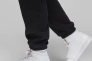 Брюки JORDAN WJ BRKLN FLC PANT 2 FN4494-010 Фото 4