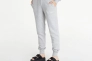 Штани Nike W NSW PHNX FLC HR PANT STD DQ5688-063 Фото 1