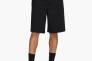 Чоловічі шорти NIKE M NK SB EL CHINO SHORT FQ0500-010 Фото 1