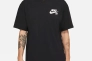 Мужская футболка NIKE M NK SB TEE LOGO LBR DC7817-010 Фото 1