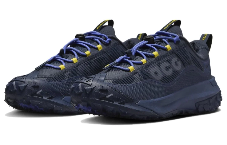Кроссовки Nike ACG MOUNTAIN FLY 2 LOW GTX HF6245-400 фото 1 — интернет-магазин Tapok
