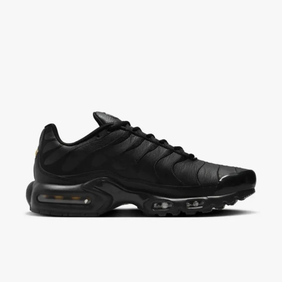 Кросівки Nike AIR MAX PLUS AJ2029-001 фото 3 — інтернет-магазин Tapok