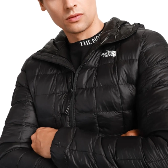 Куртка The North Face THERMOBALL ECO H NF0A5GLKJK31 фото 3 — интернет-магазин Tapok
