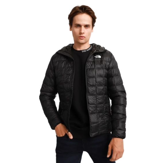 Куртка The North Face THERMOBALL ECO H NF0A5GLKJK31 фото 5 — интернет-магазин Tapok