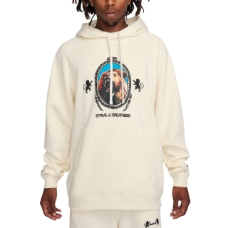 Толстовка Nike LJ M NK BRSH PO HOODIE FB7123-027