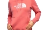 Толстовка The North Face DREW PEAK PULLOVE NF0A55ECN0T1 Фото 1