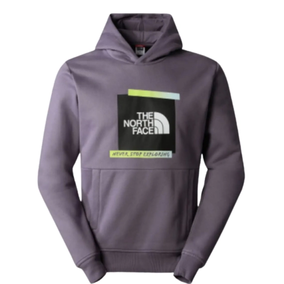 Женская толстовка The North Face ES GRAPHIC HOODI NF0A83FKN141 фото 1 — интернет-магазин Tapok
