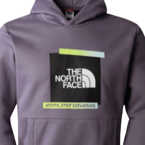 Женская толстовка The North Face ES GRAPHIC HOODI NF0A83FKN141 фото 2 — интернет-магазин Tapok