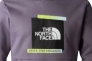 Женская толстовка The North Face ES GRAPHIC HOODI NF0A83FKN141 Фото 2