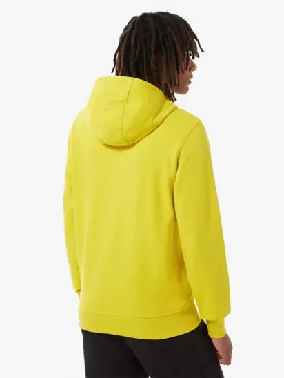 Толстовка The North Face LIGHT DREW PEAK PULLOVER HOODIE-EU NF00A0TE7601 фото 3 — інтернет-магазин Tapok