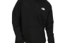 Толстовка The North Face Raglan Redbox Hood NF0A2ZWUKY41 Фото 1