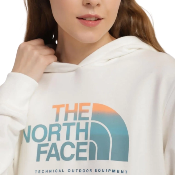 Толстовка The North Face W D2 GRAPHIC CROP H NF0A83FGN3N1 фото 2 — інтернет-магазин Tapok