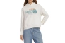 Толстовка The North Face W D2 GRAPHIC CROP H NF0A83FGN3N1 Фото 3