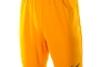 Шорты Nike Park II KNIT SHORT NB 725887-739 Фото 1