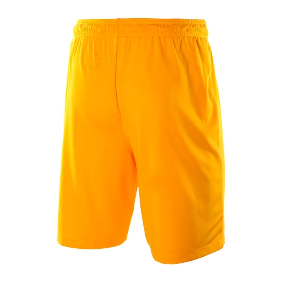 Шорты Nike Park II KNIT SHORT NB 725887-739 фото 2 — интернет-магазин Tapok