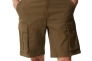 Шорты The North Face NF0A55B637U1 Фото 1