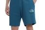 Шорты The North Face D2 GRAPHIC SHORT NF0A83FREFS1 Фото 1
